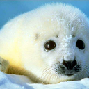 Leo Leong - @hopeofnothing - Twitter