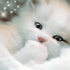 elenavaleria567's profile picture. 