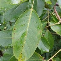 arlat matthieu (@matthieu_arlat) 's Twitter Profile Photo