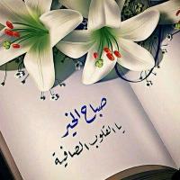 بنت الخرج  (@albndry35gmail1) 's Twitter Profile