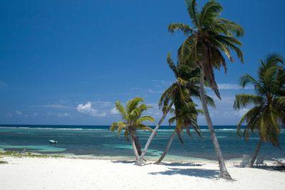 Relax In the Cayman Islands. Enjoy the Sun, Sights and Attractions. We're here 2 RT your tweets. Follow me & we follow back.