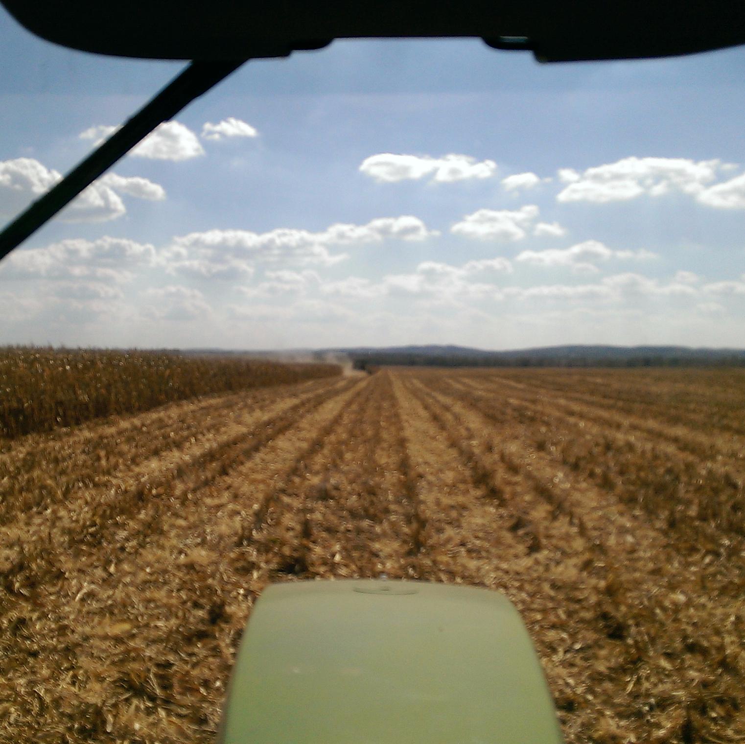 buckeye243's profile picture. Southern Ohio proud, Ohio State, Reds, and Bengals fan.