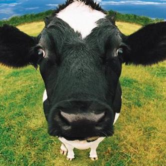 Effortless managed masternodes. Monitored, Maintained, Mootastic.