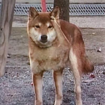 eits810's profile picture. 