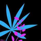 xalice95's profile picture. 