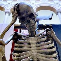 La Canina (@lacaninasevilla) 's Twitter Profile Photo