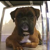 Rachel gammon (@rachel_gammon) 's Twitter Profile