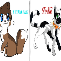 Twinklekit/Snake (@scared5lyfe) 's Twitter Profile