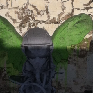 ciao_sono_Di_Ho's profile picture. 