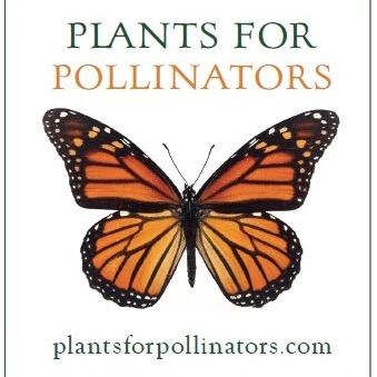 PollinatorPlant Profile Picture