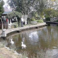 St Dogmaels village (@dogmaels) 's Twitter Profile
