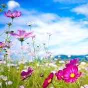 MKZlivinglife (@mkzlivinglife) 's Twitter Profile Photo