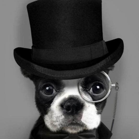 casteration's profile picture. 