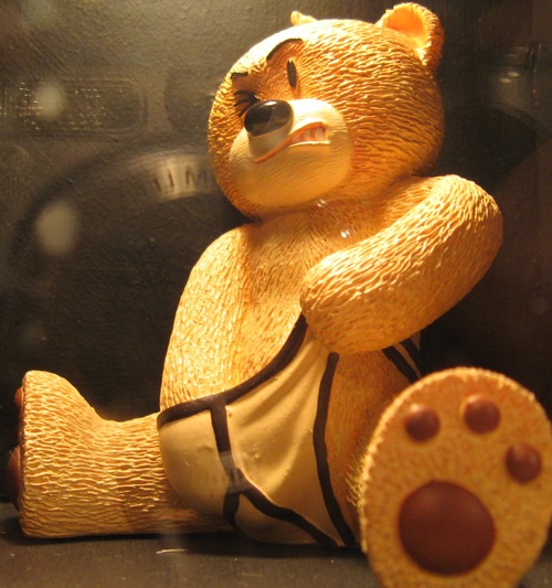 Bear lover and producing a bear book.