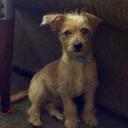 emily - @emily_oh_yea - Twitter