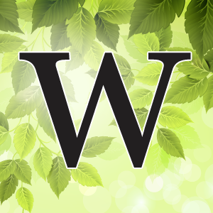 The Willows Tea Room Profile