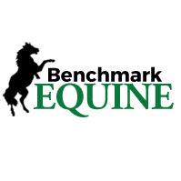 Benchmark Equine(@BenchmarkEquine) 's Twitter Profile Photo