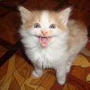 Alan Escobedo - @nutotaheqara - Twitter