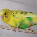 蒼 (@0814Soraha) Twitter