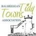 BalbrigganTidyTowns (@BBTidyTowns) Twitter profile photo