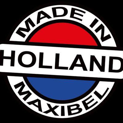LED werklampen expert, producing LED worklight for temporary use. Nederlandse Fabrikant van LED werkverlichting in 24,42,110 en 230 Volt. Made in Holland . EUR1