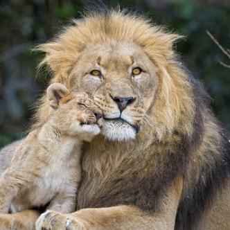 831kue_'s profile picture. 簿記二級勉強するする❗️がんばりたい❗️20卒社会人 簿記三級取得済み、5月から2級勉強開始予定〜 10月目標　無断フォロー失礼します○┓ﾍﾟｺﾘ💦