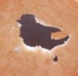 TsatsosA's profile picture. MAN Logistik PDC DAH