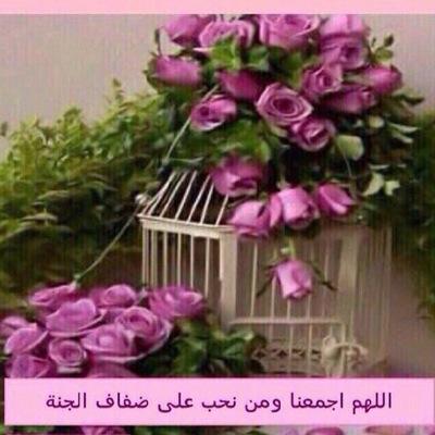 ‏‏‏ فردوسك  يارب هي المنى ؛وغاية اللهفات.                                                             الخاص مهمل ~