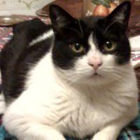 shelley901 (@shelley901) 's Twitter Profile Photo