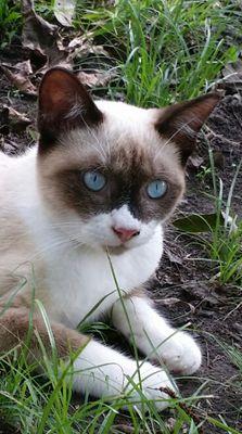 LigeStewardson's profile picture. Lige Stewardson http://t.co/dV0PB91w6W…