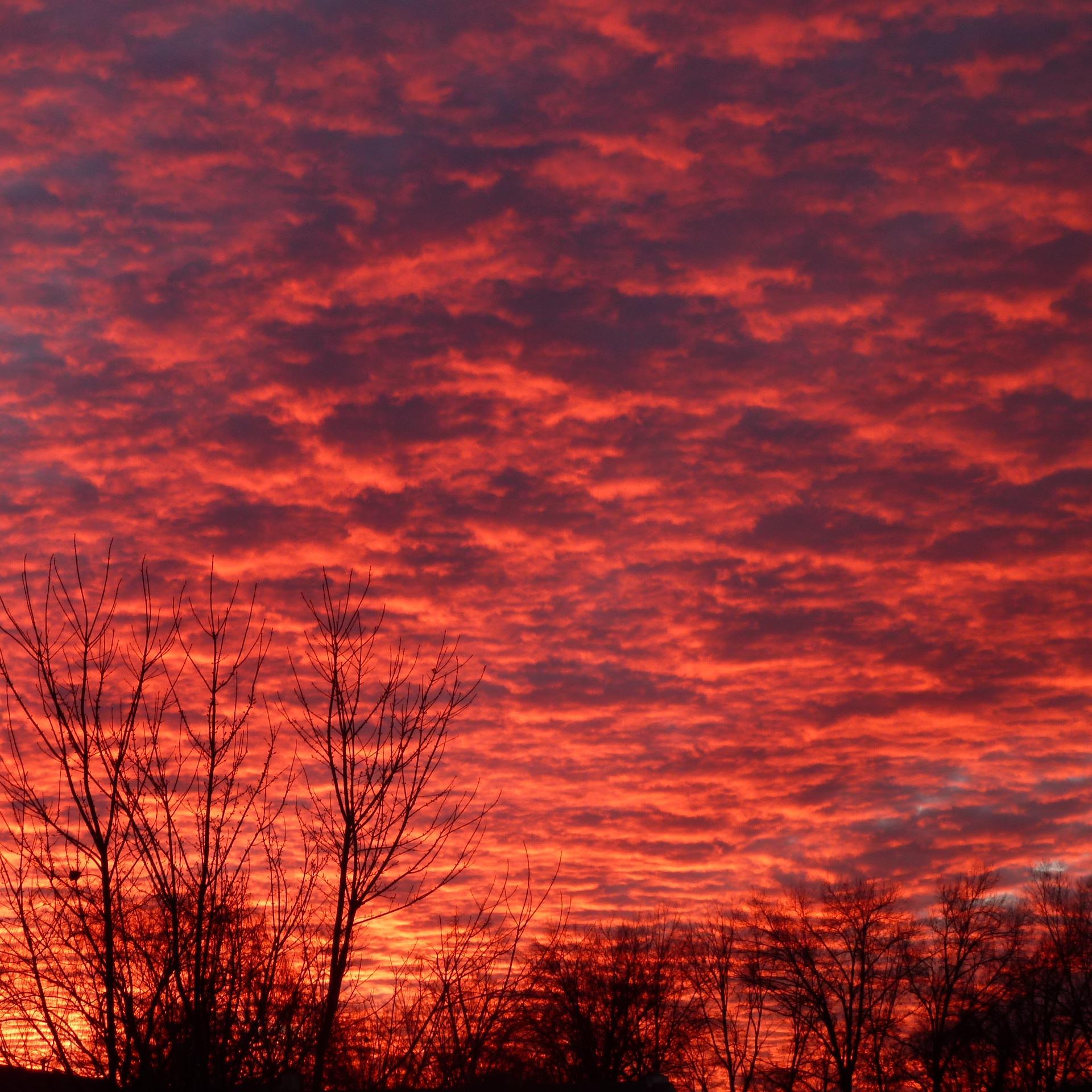 elixar08's profile picture. 