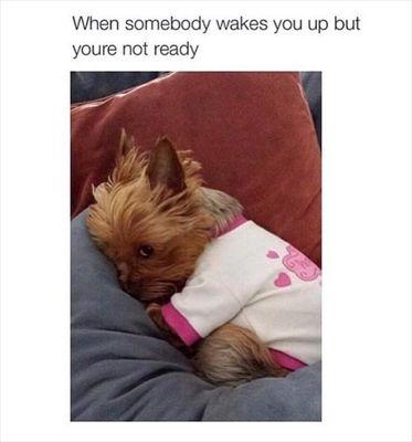 keyleighorchar2's profile picture. main Chloe and versace