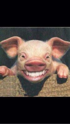 Capo_sensarmy's profile picture. 