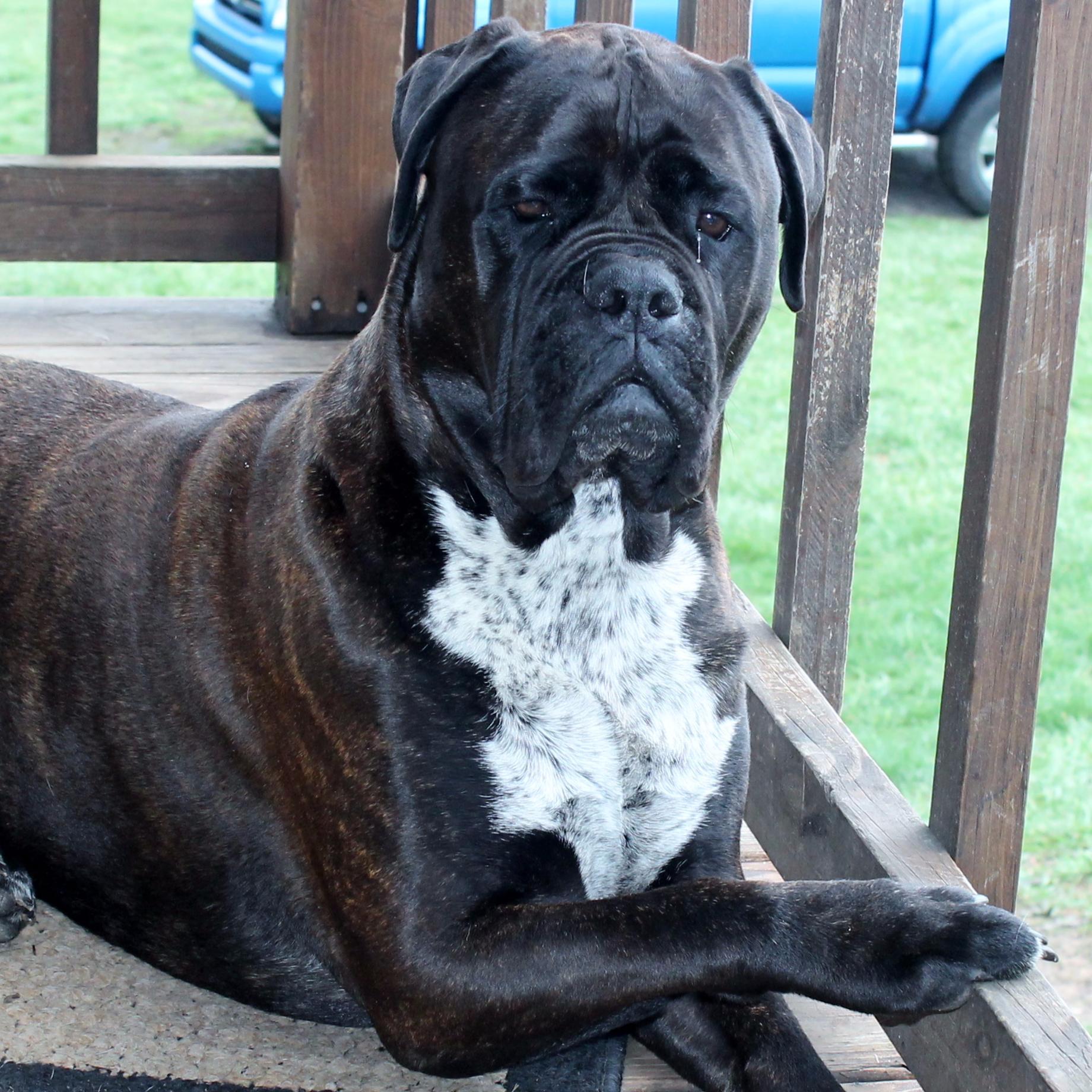 patriciabest345's profile picture. 