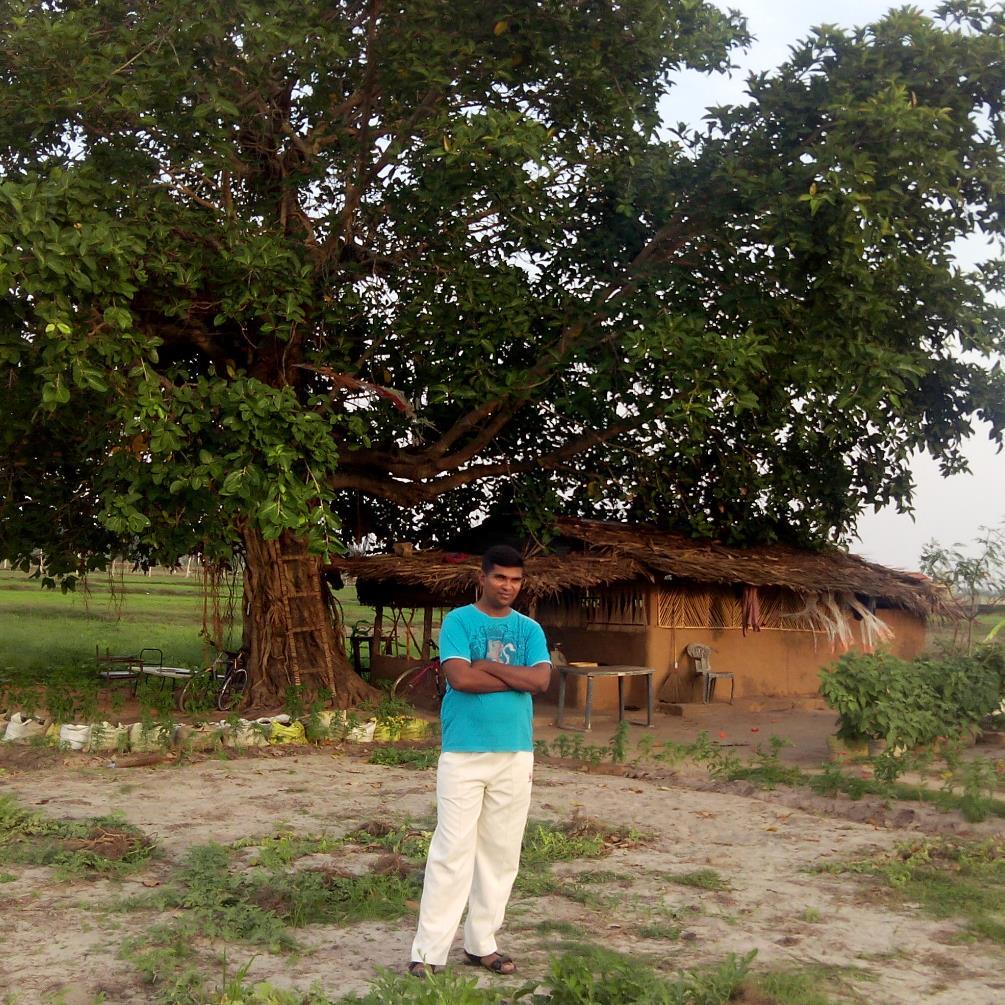 rashadhmzm's profile picture. 