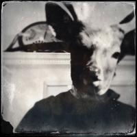 A4+ 🐀 (@adrian4acn) 's Twitter Profile