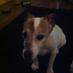 tx4pete (@peterplester) Twitter profile photo tx4pete (@peterplester) Twitter profile photo