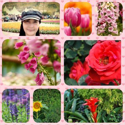 sw88000's profile picture. 