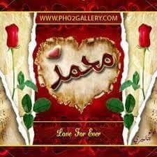 17ffee84080c48e's profile picture. 