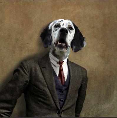 Bio1v4n's profile picture. Bioeducación.