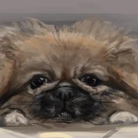 Leopold Jenkins (@ethosandpathos) 's Twitter Profile Photo Leopold Jenkins (@ethosandpathos) 's Twitter Profile Photo