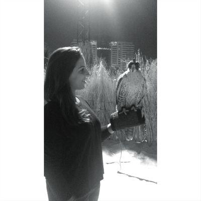 LeilaMateus's profile picture. Psychology Student, Karate lover and flight attendant