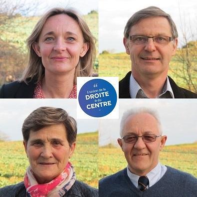 StMalo1udc35's profile picture. Anne #LeGagne et Pierre-Yves #Mahieu, Conseillers Départementaux de Saint-Malo nord, Cancale, Saint-Méloir, Saint-Coulomb, La Gouesnière.