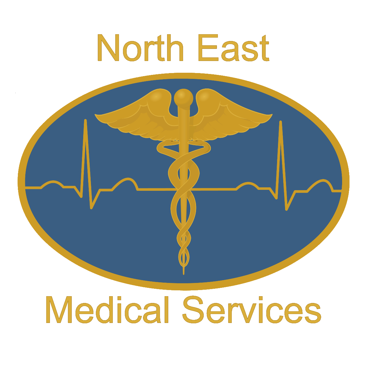 Professional providers of Event Medical Services, Patient Transport Services, Repatriations and Training & Education
#teamNEMS #ourteambehindyourevent