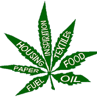 Hempy (@hempy) 's Twitter Profile