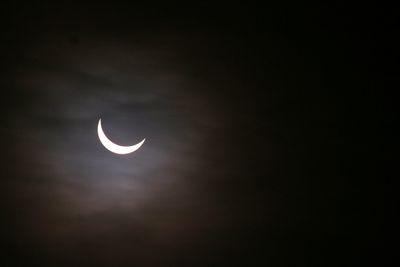 12a617a71880491's profile picture. 