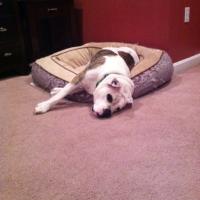 Travis J Eaton (@travisjeaton1) 's Twitter Profile