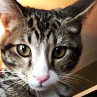 Jittery Wheel (@jittery_wheel) 's Twitter Profile Photo