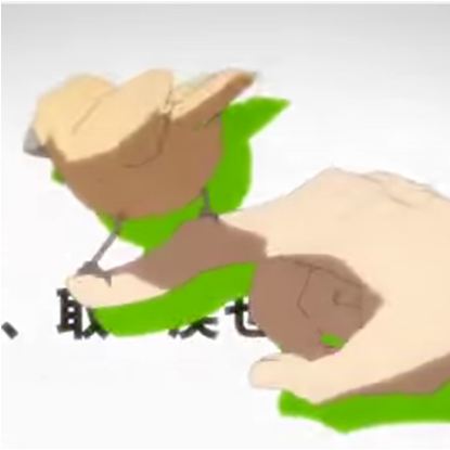 Bird_Seto's profile picture. 