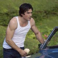 Damon Salvatore (@studvamp1864) 's Twitter Profile